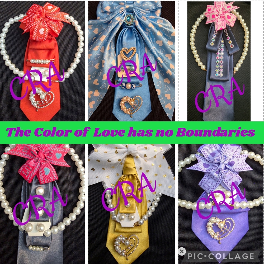 Necktie Necklace w/Chain & Pin (With Earrings) Pick 1 Tie $30 Or 2 For $50